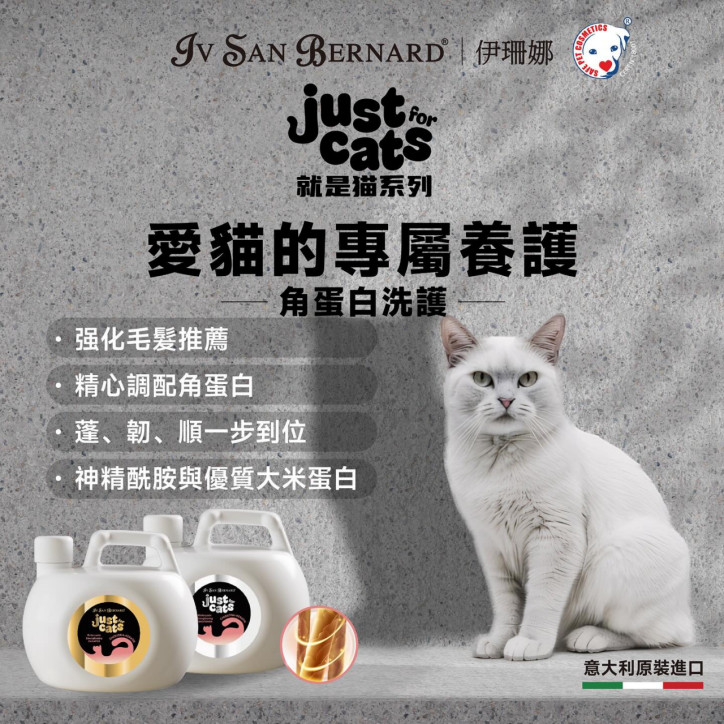 伊珊娜丨就是猫系列-专属猫的精致洗护